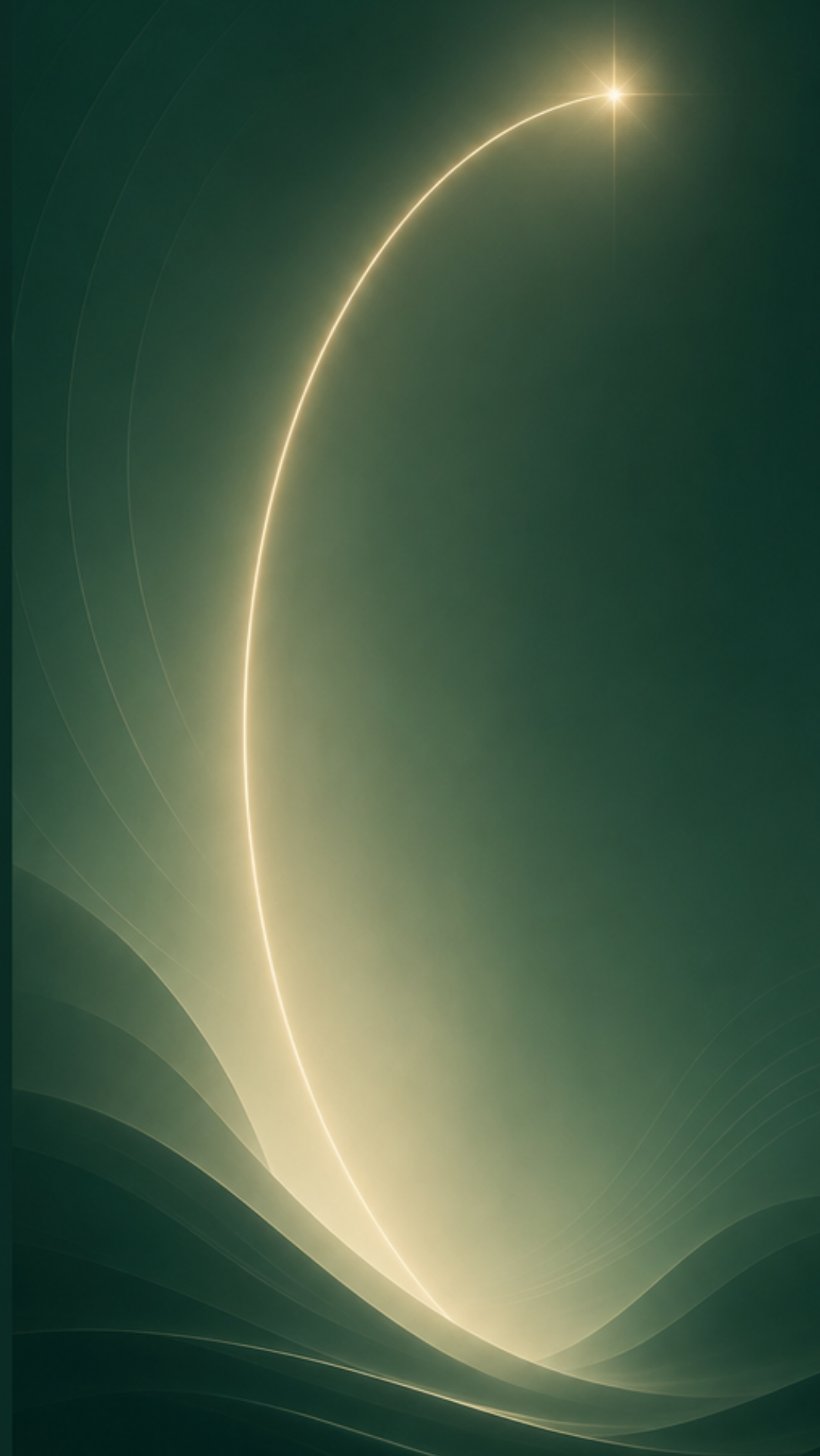 Produkt_Meditation_Pflanze dein Potential